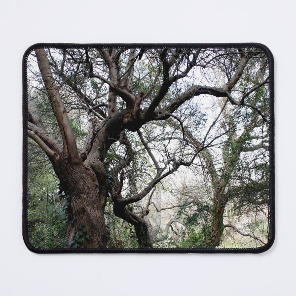 Item preview, Woods designed and sold by Saverio Filioli Uranio.