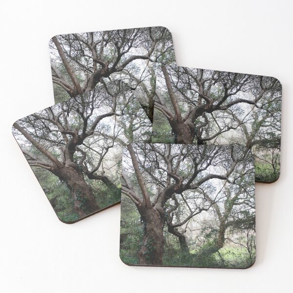 Item preview, Woods designed and sold by Saverio Filioli Uranio.