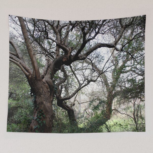 Item preview, Woods designed and sold by Saverio Filioli Uranio.