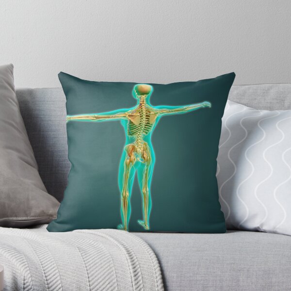 Pudendal Nerves Pillows & Cushions for Sale