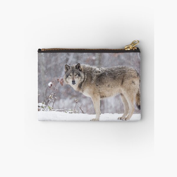 Item preview, A lone Timber Wolf in the snow designed and sold by Josef Pittner.