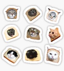 Pegatina Gatitos De Pan