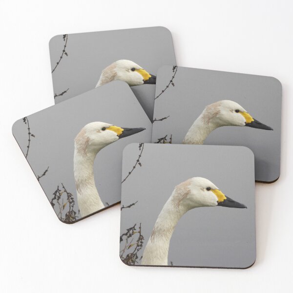 Item preview, Cabeza y cuello de Bewick Swan designed and sold by TwistedClassics.