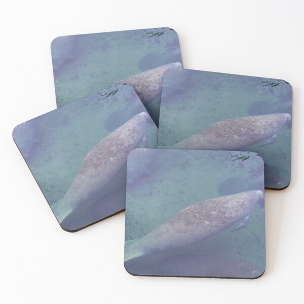 Item preview, Manatee Swimming Blue Springs Florida designed and sold by ValeriesGallery.