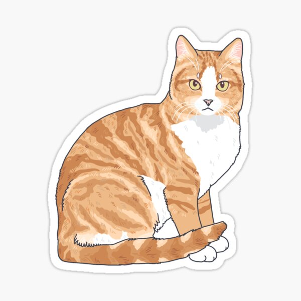 Long Haired Brown Tabby Cat Sticker Decal Brown Cat Water 