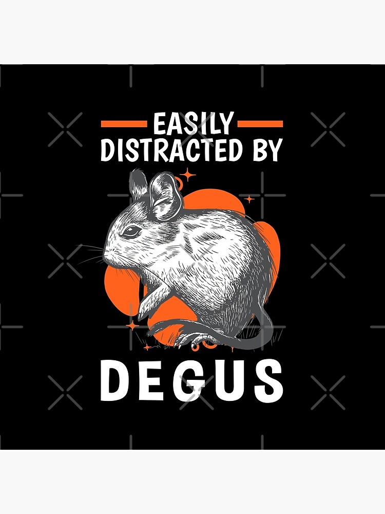 Distracted by degus rodent common degu