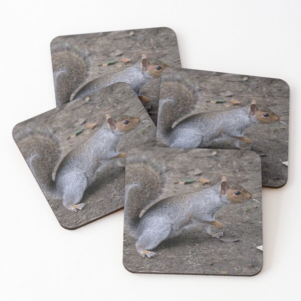 Item preview, Squirrel having Lunch. designed and sold by GingerMan2550.