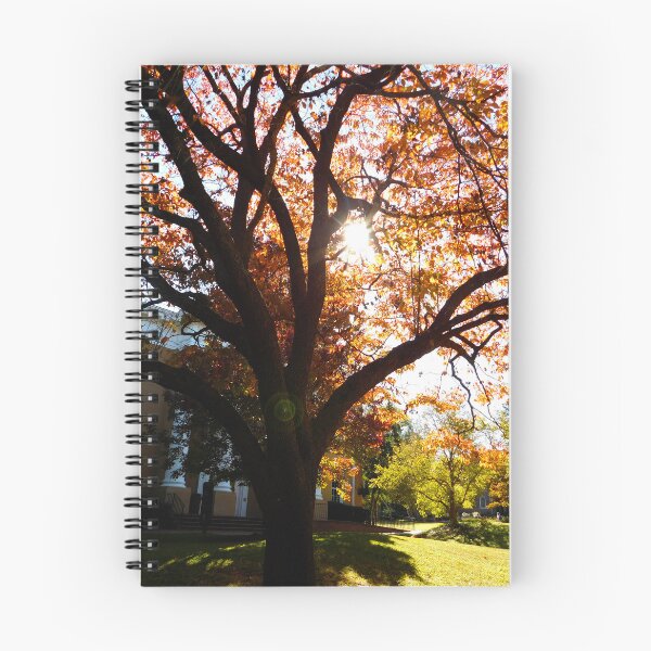 Item preview, Autumn Lights designed and sold by ZaeFree.