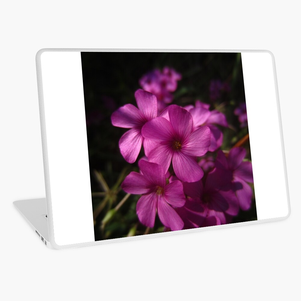 Pink-Sorrel Laptop Skin