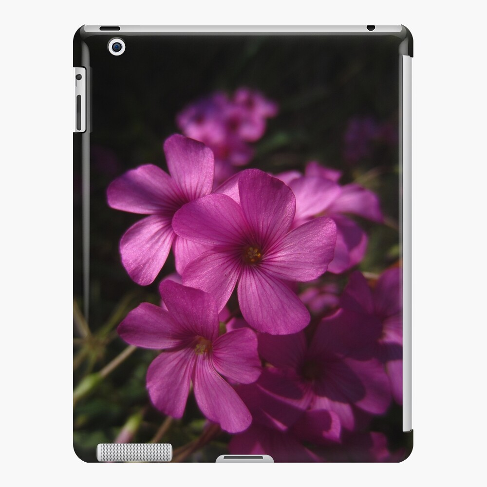 Pink-Sorrel iPad Case & Skin