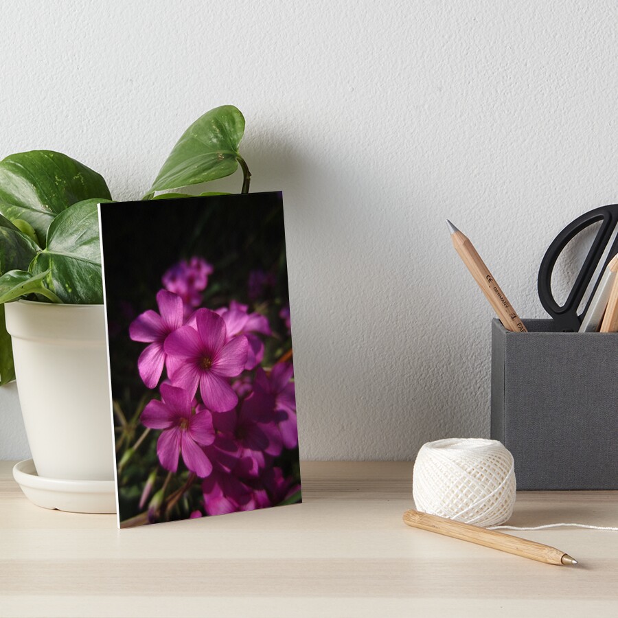 Pink-Sorrel Art Board Print