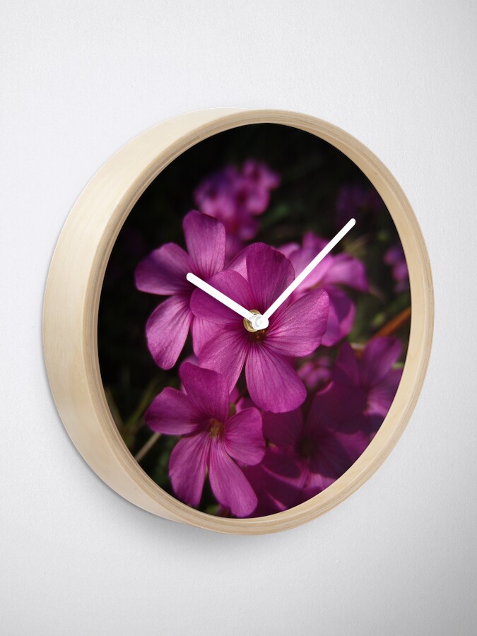 Alternate view of Pink-Sorrel Clock