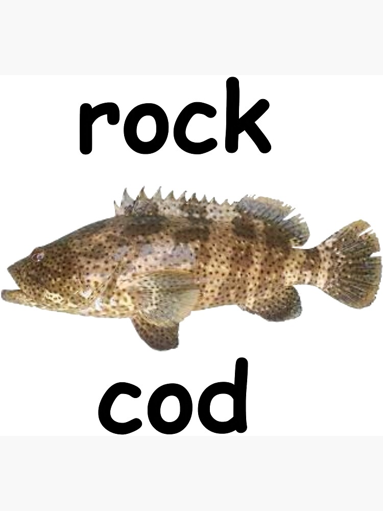 "rock cod" Poster for Sale by RockCod Redbubble