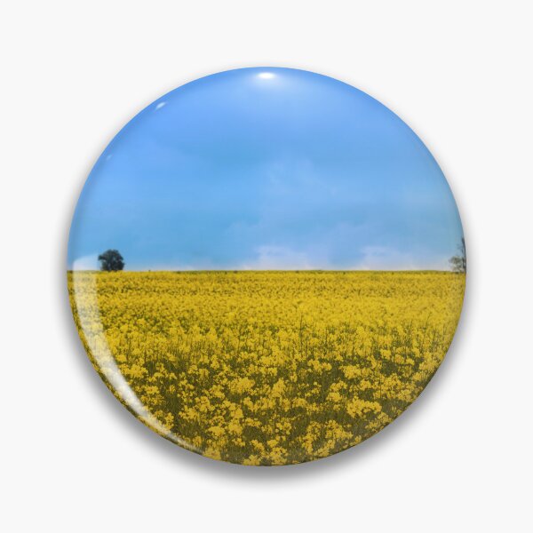 Item preview, Canola field with Ukraine flag colors designed and sold by MarioGuti.
