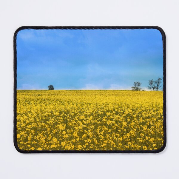 Item preview, Canola field with Ukraine flag colors designed and sold by MarioGuti.