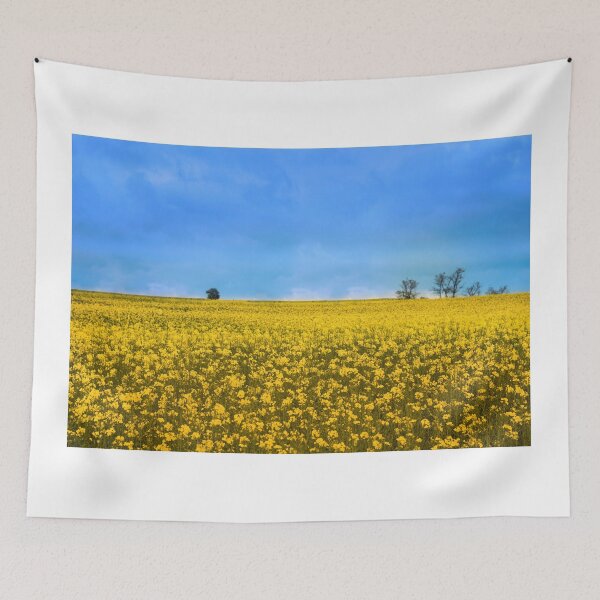 Item preview, Canola field with Ukraine flag colors designed and sold by MarioGuti.