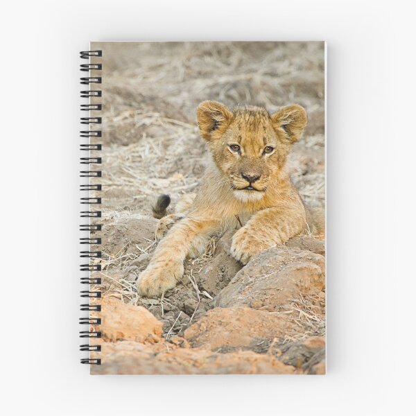 Item preview, lion cub designed and sold by BlaizerB.