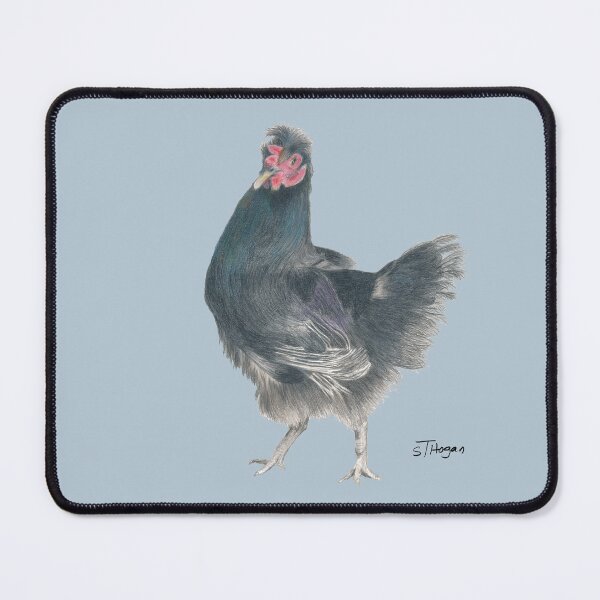 Item preview, Black Chook on Light Blue designed and sold by STHoganArtist.