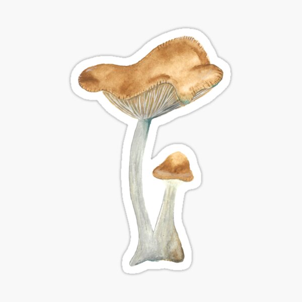 Wavy Caps Pegatina