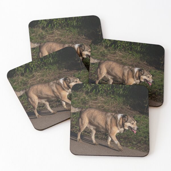 Item preview, Big Dog on a Mission. designed and sold by GingerMan2550.