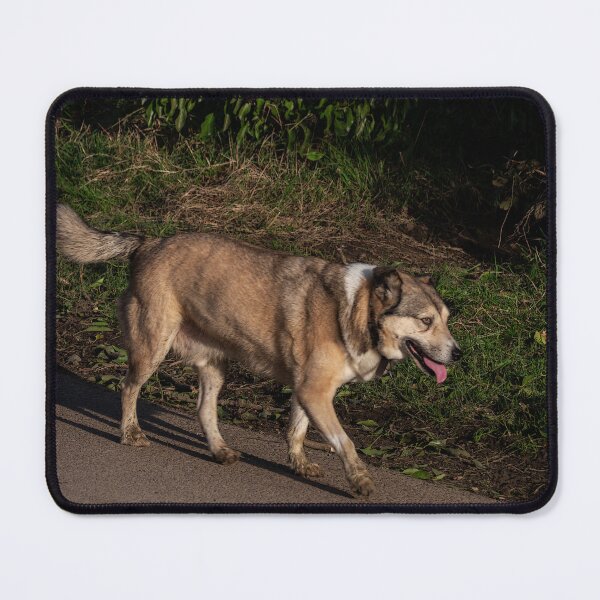 Item preview, Big Dog on a Mission. designed and sold by GingerMan2550.