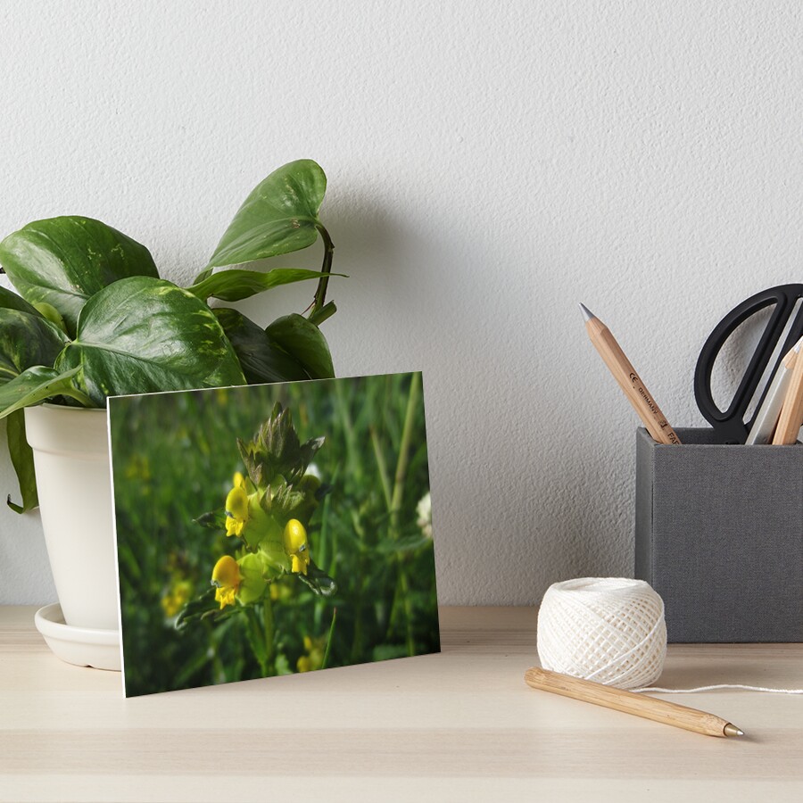 Item preview, Art Board Print designed and sold by IOMWildFlowers.