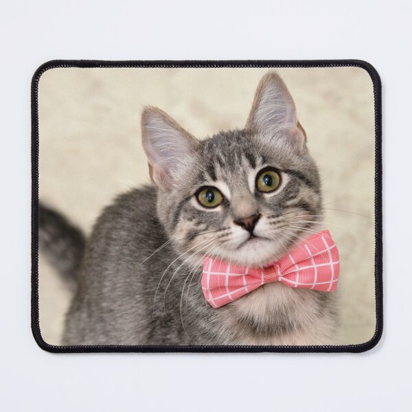 Item preview, Nestle the Kitten in a Bowtie designed and sold by ThunderingPaws.