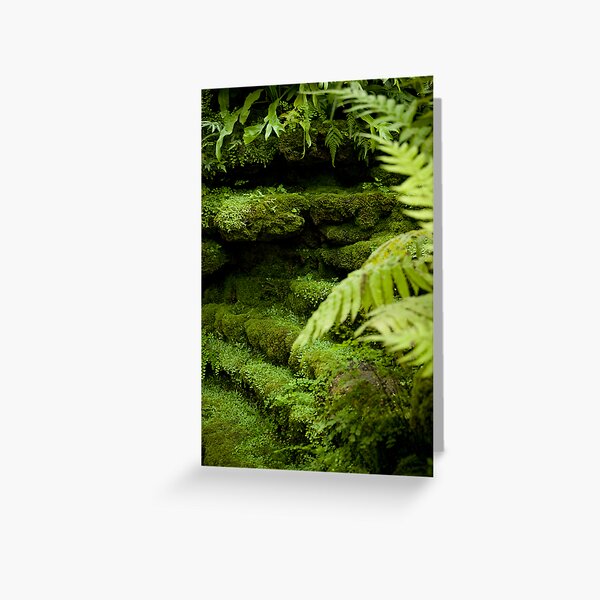 Lush Greeting Card