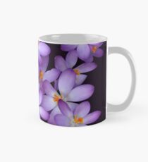 Crocus Mug