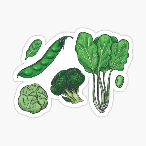 Green Vegetable pattern Sticker