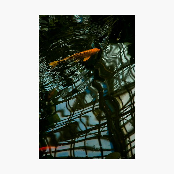 Photographic Print