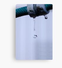 gravity wins Canvas Print