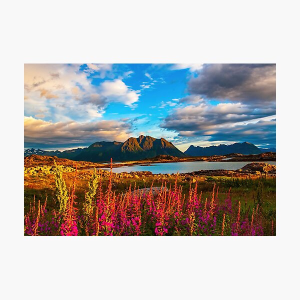 Item preview, Photography metal print, Photo Metal prints, nature metal prints designed and sold by tshirt-agent.