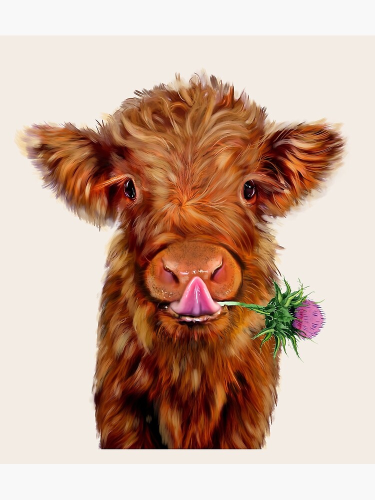 Baby Highland Cow - The Crown Prints