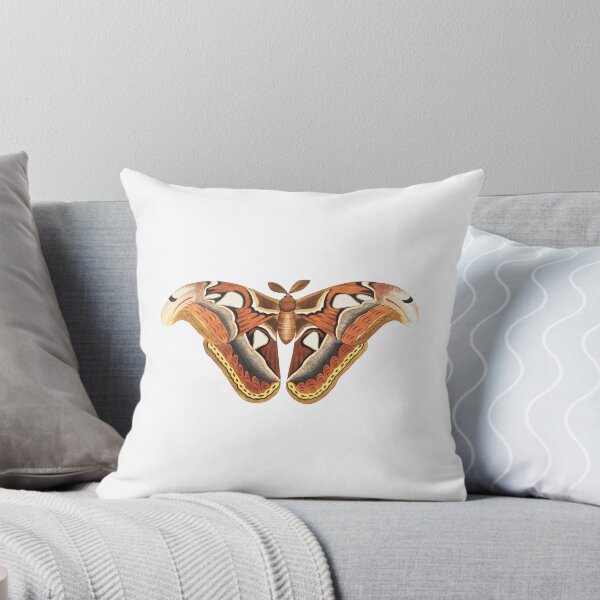 Item preview, George Shaw - Atlas Moth Illustration designed and sold by SpicyAmbition.