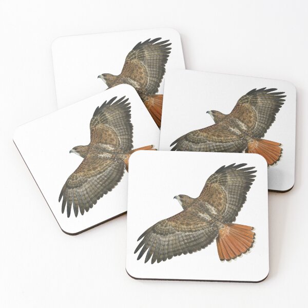 Item preview, Red Tailed Hawk in Flight designed and sold by windfalcon.