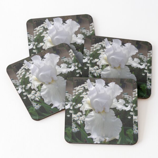 Item preview, White Bearded Iris Irises in the white Garden designed and sold by Sarah  Rajkotwala.