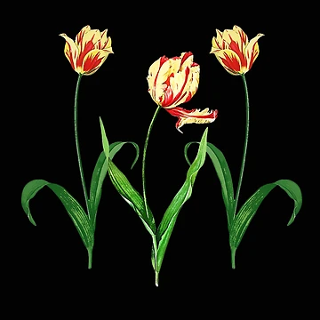 Artwork thumbnail, Spring Tulips by KathteeDesign
