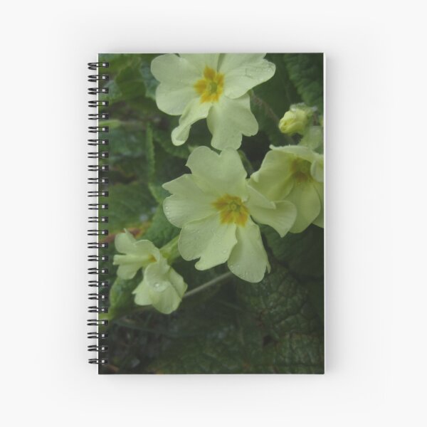 Primrose Spiral Notebook