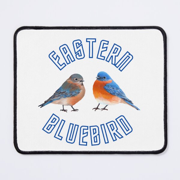 Item preview, Eastern Bluebird designed and sold by Roy & Tiffany.