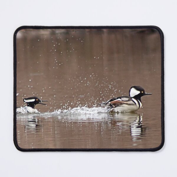 Item preview, HOODED MERGANSER 2 designed and sold by BOLLA67.