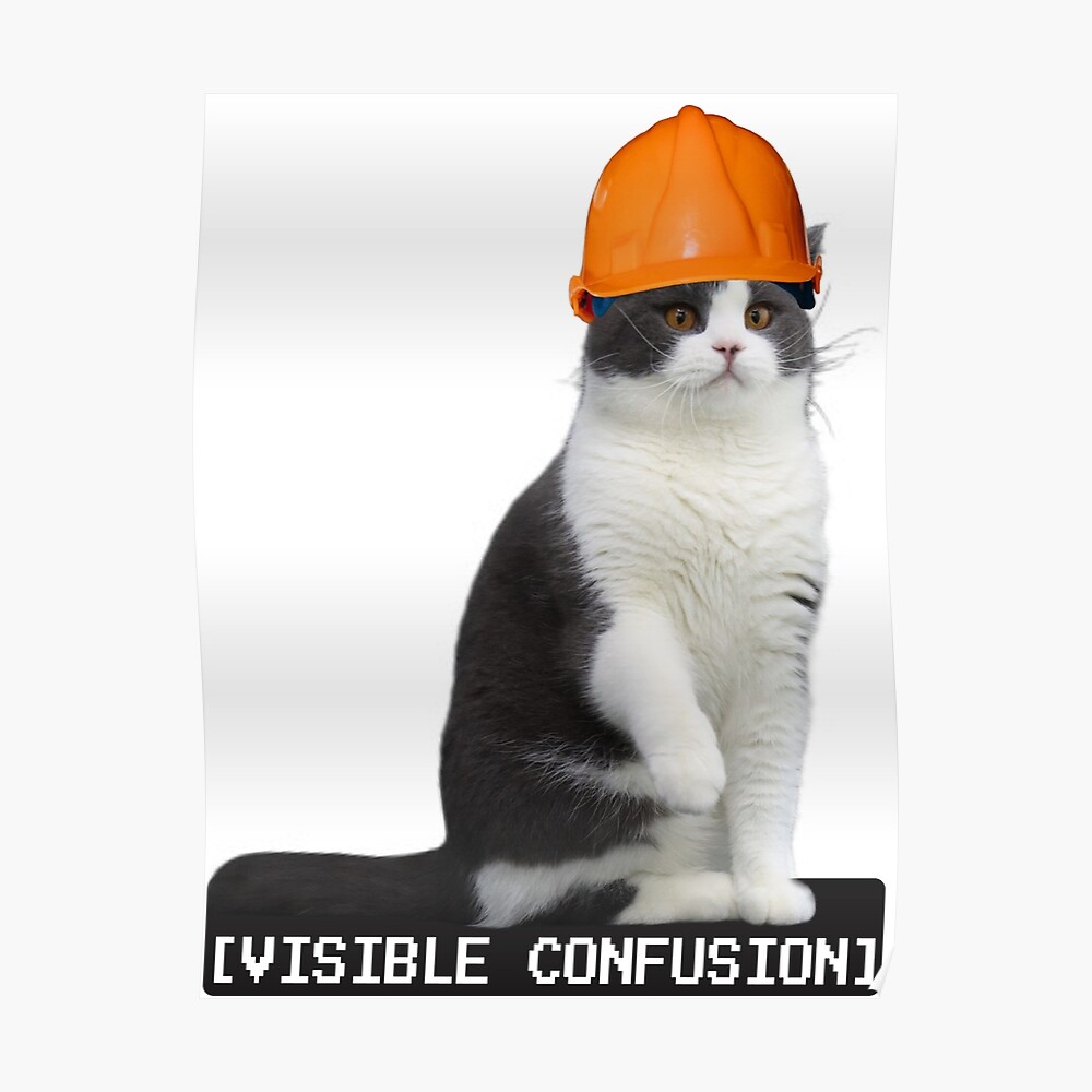 cat in construction hat