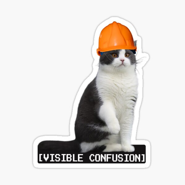 cat construction hat