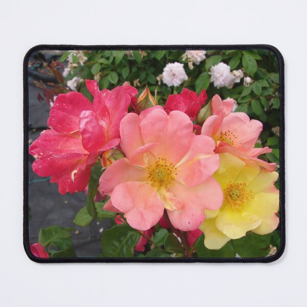 Item preview, Rose Flowers Red and Yellow designed and sold by Sarah  Rajkotwala.