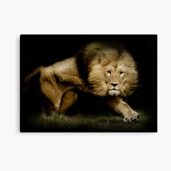 Power Canvas Print