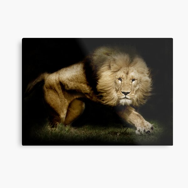 Power Metal Print