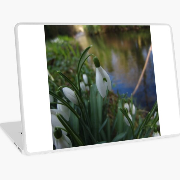 Snowdrop Laptop Skin