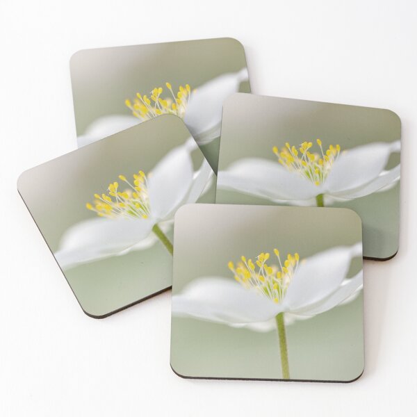 Item preview, Wood Anemone designed and sold by heidipics.