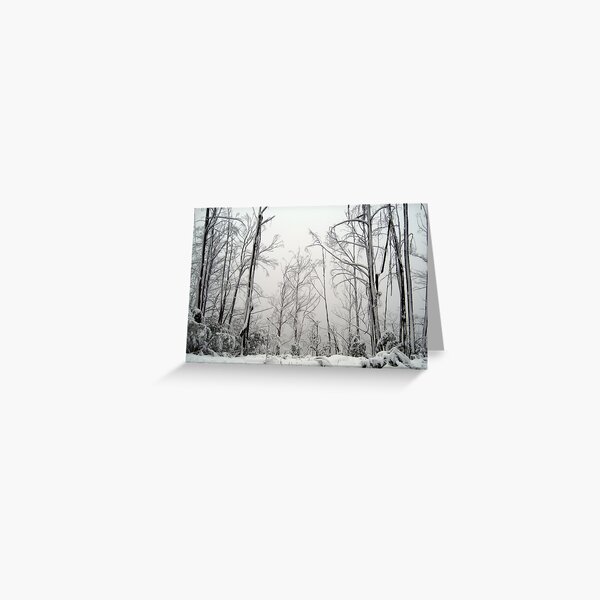 Item preview, Snow Trees designed and sold by PantherX.
