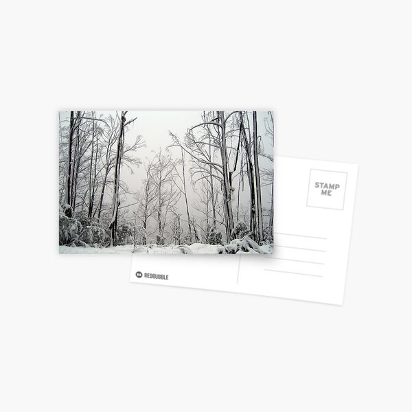 Item preview, Snow Trees designed and sold by PantherX.